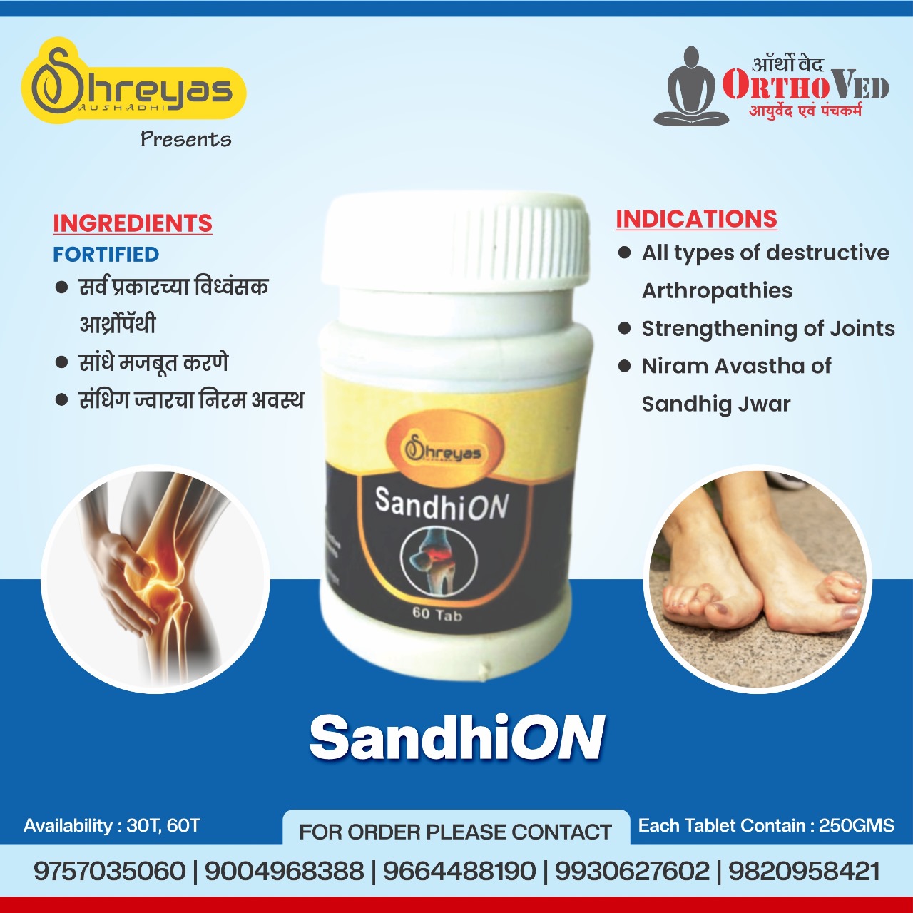 SandhiON